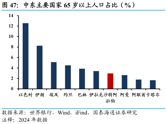谁能回答中东主要国家 65 岁以上人口占比（%）
