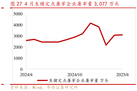 咨询大家4 月生猪定点屠宰企业屠宰量 3,077 万头?