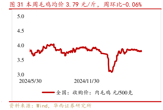 你知道本周毛鸡均价 3.79 元斤,周环比-0.06%?
