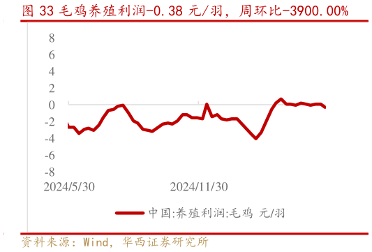 谁知道毛鸡养殖利润-0.38 元羽,周环比-3900.00%?