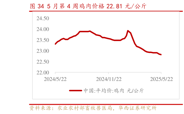 咨询大家5 月第 4 周鸡肉价格 22.81 元公斤?