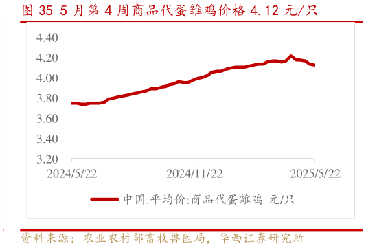 咨询下各位5 月第 4 周商品代蛋雏鸡价格 4.12 元只?