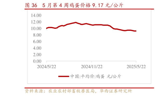 各位网友请教一下5 月第 4 周鸡蛋价格 9.17 元公斤?