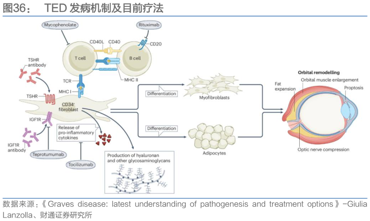 我想了解一下TED 发病机制及目前疗法