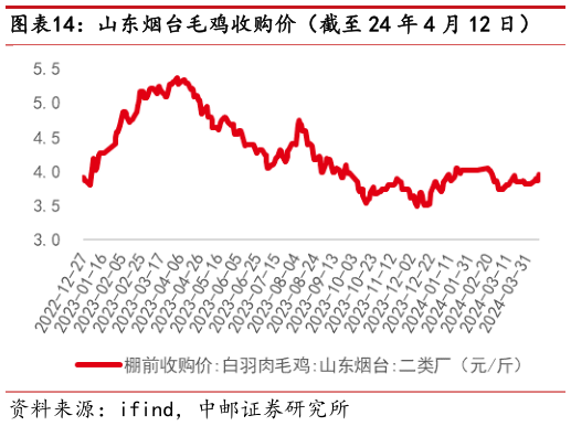 想问下各位网友山东烟台毛鸡收购价(截至 24 年 4 月 12 日)?