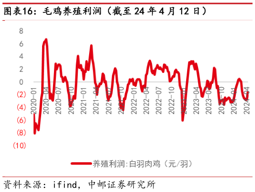 咨询下各位毛鸡养殖利润(截至 24 年 4 月 12 日)?