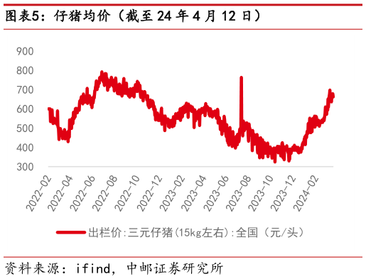 咨询下各位仔猪均价(截至 24 年 4 月 12 日)?