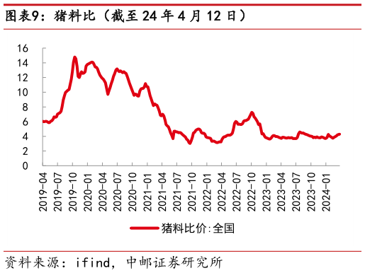 如何了解猪料比(截至 24 年 4 月 12 日)?