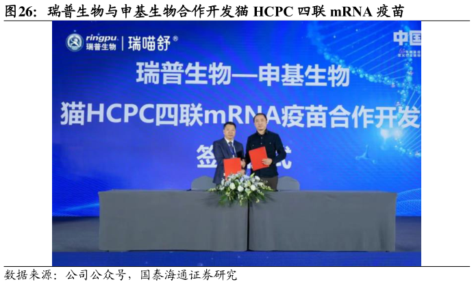 请问一下瑞普生物与申基生物合作开发猫 HCPC 四联 mRNA 疫苗?