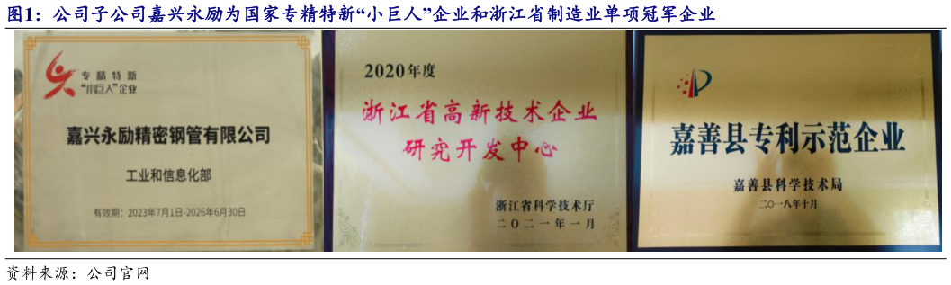一起讨论下公司子公司嘉兴永励为国家专精特新“小巨人”企业和浙江省制造业单项冠军企业