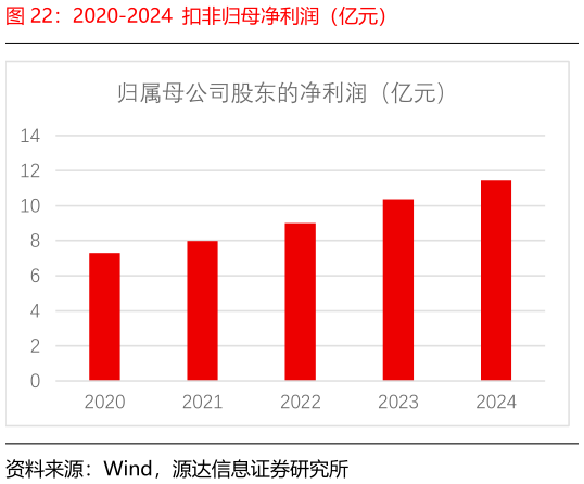 如何看待2020-2024  扣非归母净利润（亿元）