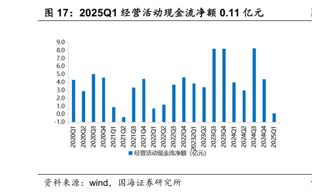 咨询大家2025Q1 经营活动现金流净额 0.11 亿元
