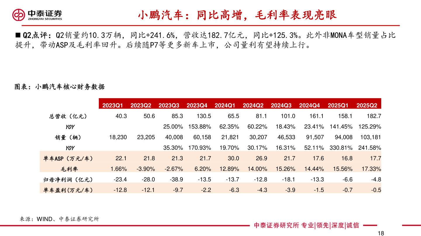 咨询大家小鹏汽车:同比高增,毛利率表现亮眼?