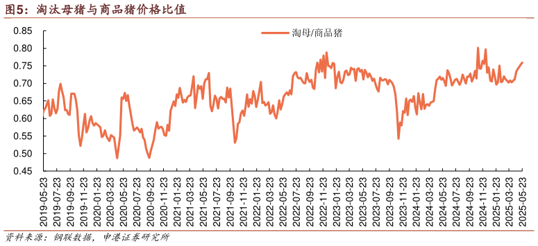 请问一下淘汰母猪与商品猪价格比值?