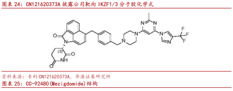 如何看待CN121620373A 披露公司靶向 IKZF13 分子胶化学式?