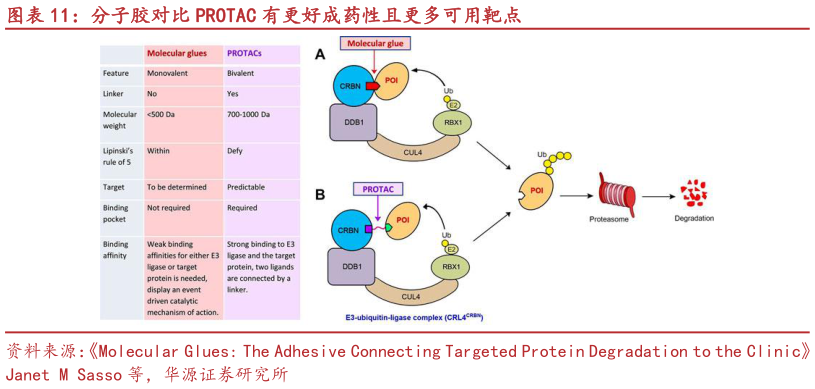你知道分子胶对比 PROTAC 有更好成药性且更多可用靶点?