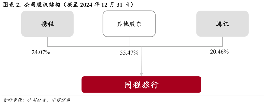 如何看待.  公司股权结构（截至 2024 年 12 月 31 日）