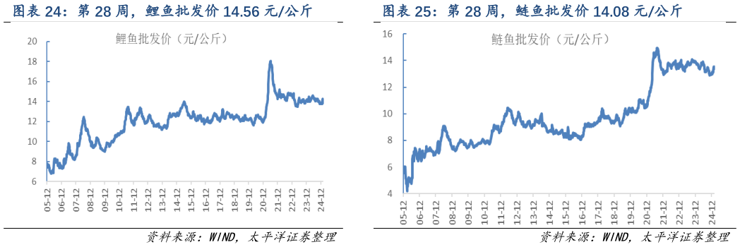 谁知道第 28 周，鲤鱼批发价 14.56 元公斤 第 28 周，鲢鱼批发价 14.08 元公斤