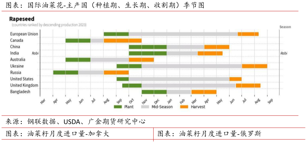 我想了解一下图表：国际油菜花-主产国（种植期、生长期、收割期）季节图 图表：油菜籽月度进口量-加拿大图表：油菜籽月度进口量-俄罗斯
