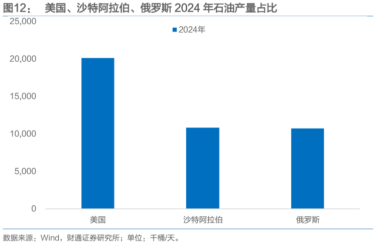 怎样理解美国、沙特阿拉伯、俄罗斯 2024 年石油产量占比?