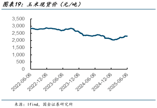咨询下各位玉米现货价（元吨）?