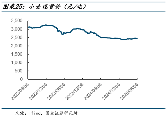 怎样理解小麦现货价（元吨）?