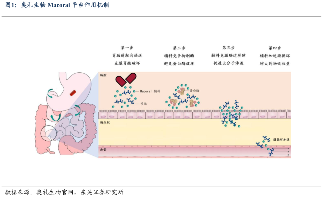 如何了解奥礼生物 Macoral 平台作用机制