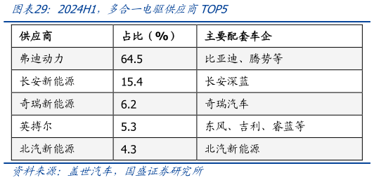 咨询大家2024H1,多合一电驱供应商TOP5?
