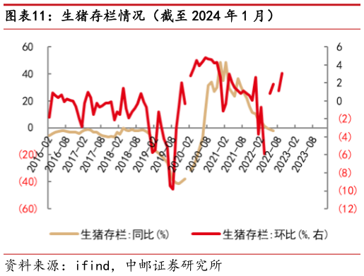 如何了解生猪存栏情况(截至 2024 年 1 月)?