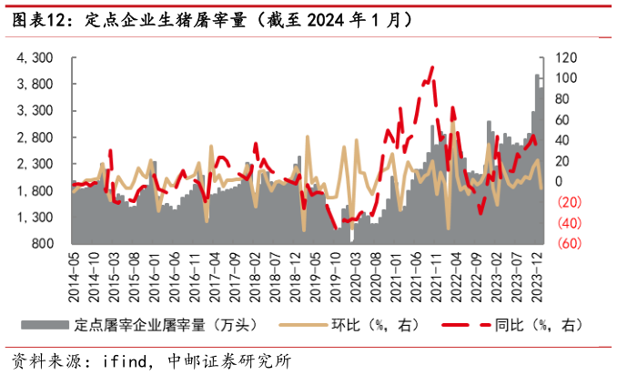 各位网友请教一下定点企业生猪屠宰量(截至 2024 年 1 月)?