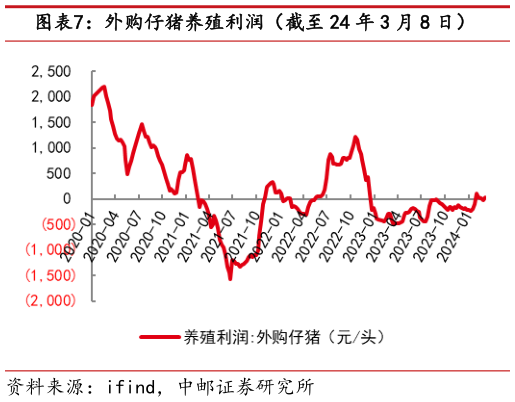 如何才能外购仔猪养殖利润(截至 24 年 3 月 8 日)?