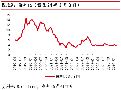各位网友请教一下猪料比(截至 24 年 3 月 8 日)?