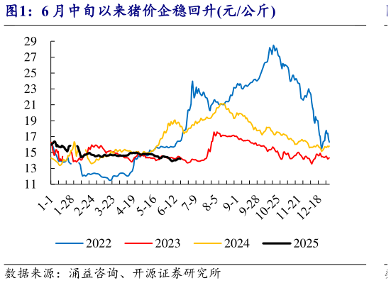 如何了解6 月中旬以来猪价企稳回升元公斤?