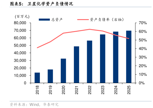 如何了解卫星化学资产负债情况