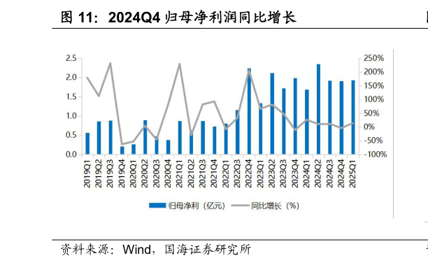 一起讨论下2024Q4 归母净利润同比增长?