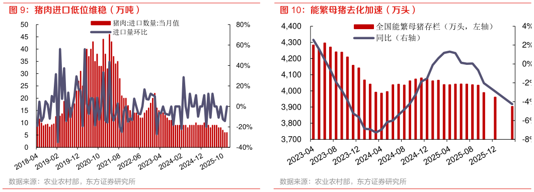 怎样理解能繁母猪去化加速（万头）