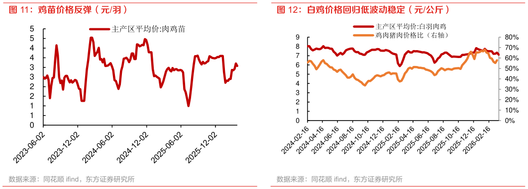 咨询大家鸡苗价格反弹（元羽）