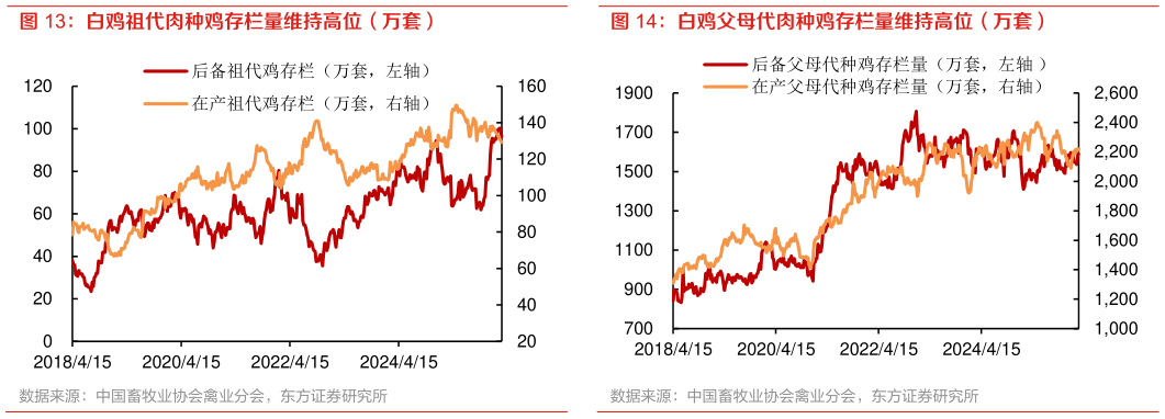 谁知道白鸡父母代肉种鸡存栏量维持高位（万套）