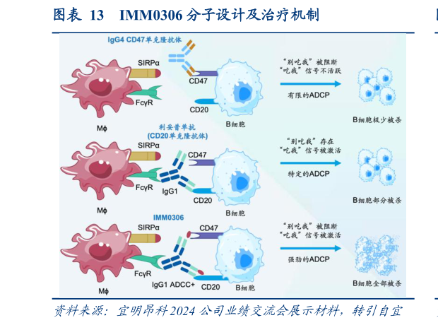 如何才能IMM0306 分子设计及治疗机制