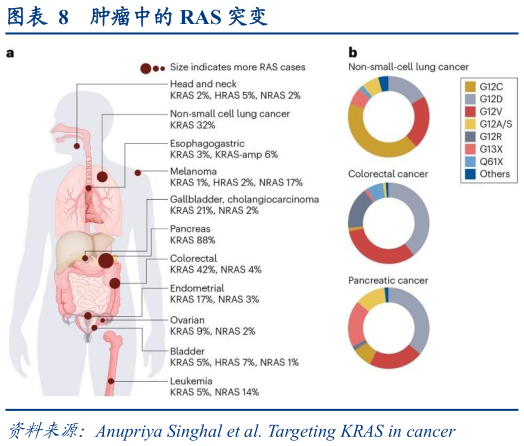 一起讨论下肿瘤中的 RAS 突变
