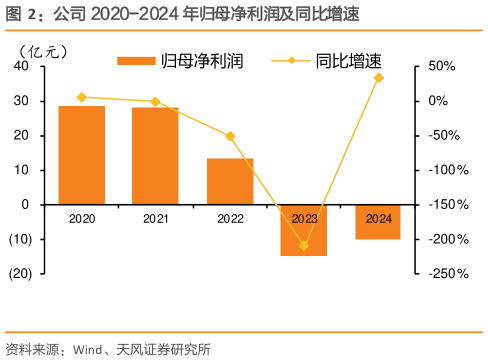 各位网友请教一下公司 2020-2024 年归母净利润及同比增速?