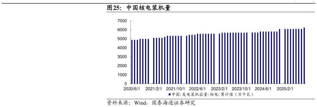 咨询下各位中国核电装机量