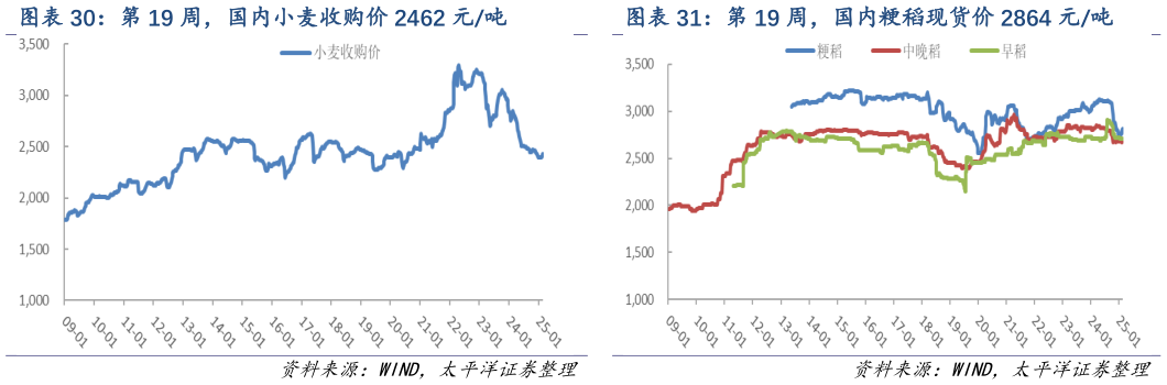 咨询大家第 19 周,国内粳稻现货价 2864 元吨?