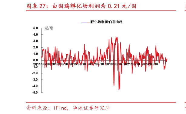 咨询大家白羽鸡孵化场利润为 0.21 元羽?