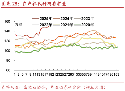 如何才能在产祖代种鸡存栏量?