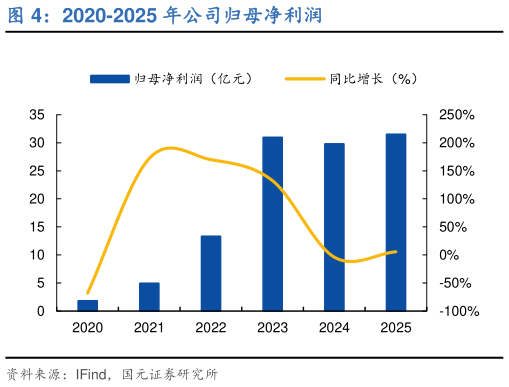 我想了解一下2020-2025 年公司归母净利润?