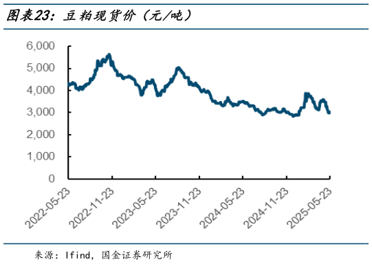 如何才能豆粕现货价(元吨)?