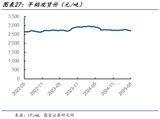 咨询大家早稻现货价(元吨)?