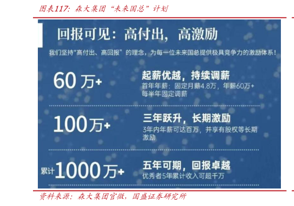 如何了解森大集团“未来国总”计划