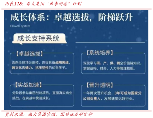 谁能回答森大集团“未来国总”计划